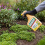 Roundup natuurlijk onkruidvrij gebruiksklaar 1 liter